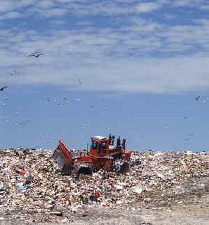 Landfill1