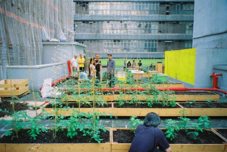 Cityfarm